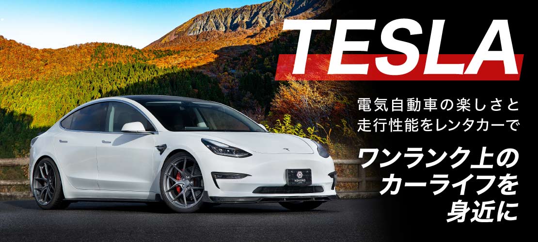TESLAレンタル TESLAレンタカー